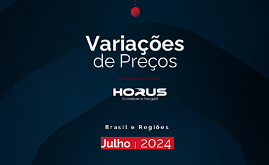 Estudo de variações de preços – Brasil e Regiões – Julho 2024