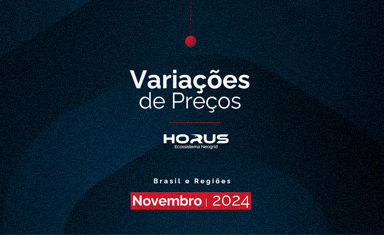 Variações de Preços Brasil e regiões – Novembro 2024