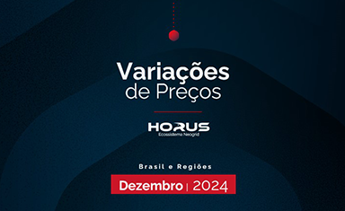 Variações de Preços Brasil e regiões – Dezembro 2024