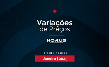 Variações de Preços Brasil e regiões – Janeiro 2025